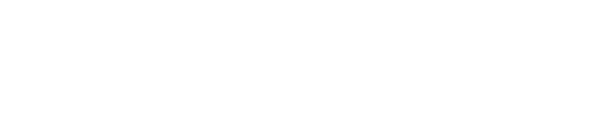 TM Electronics Trading Logo White